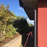 Příjemný Křoví V Rodinném Domku Se Sdíleným Bazénem, Terasou A Zahradou Appartement
